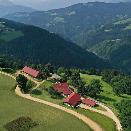 Farmstay&Glamping Visocnik Ljubno Zewnętrze zdjęcie