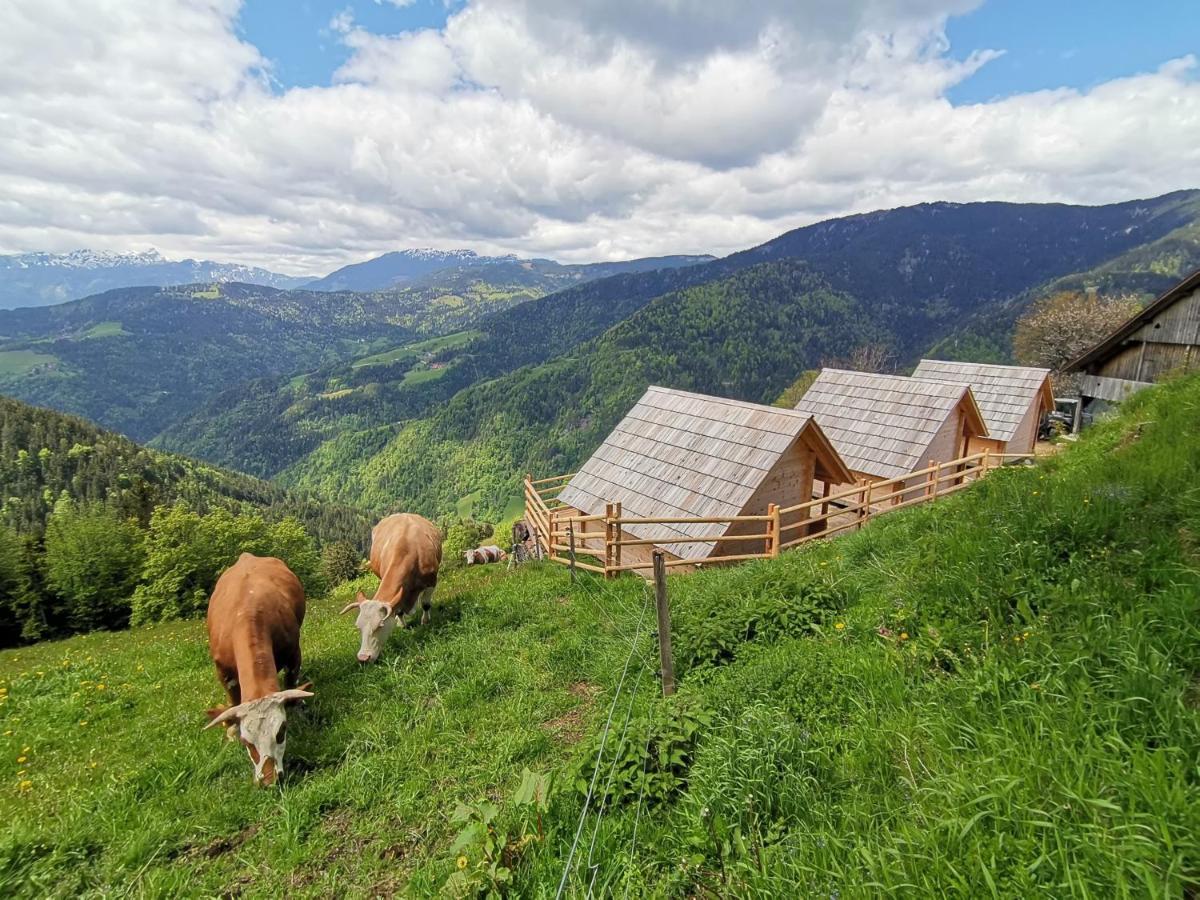 Farmstay&Glamping Visocnik Ljubno Zewnętrze zdjęcie