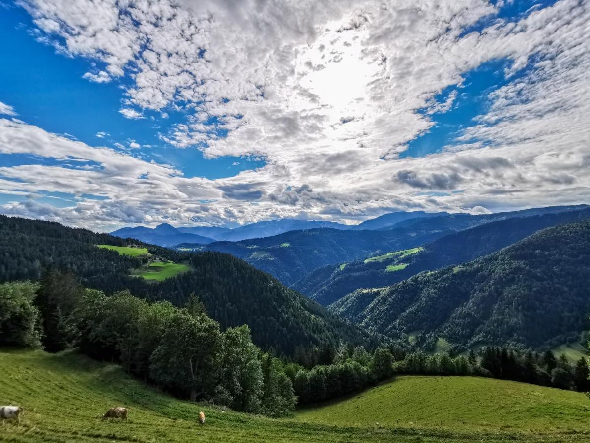 Farmstay&Glamping Visocnik Ljubno Zewnętrze zdjęcie