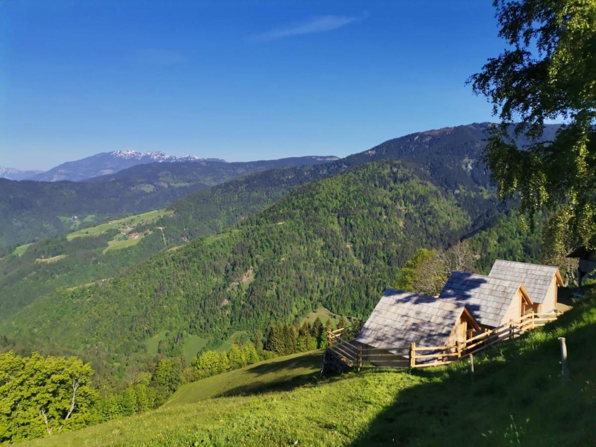 Farmstay&Glamping Visocnik Ljubno Zewnętrze zdjęcie
