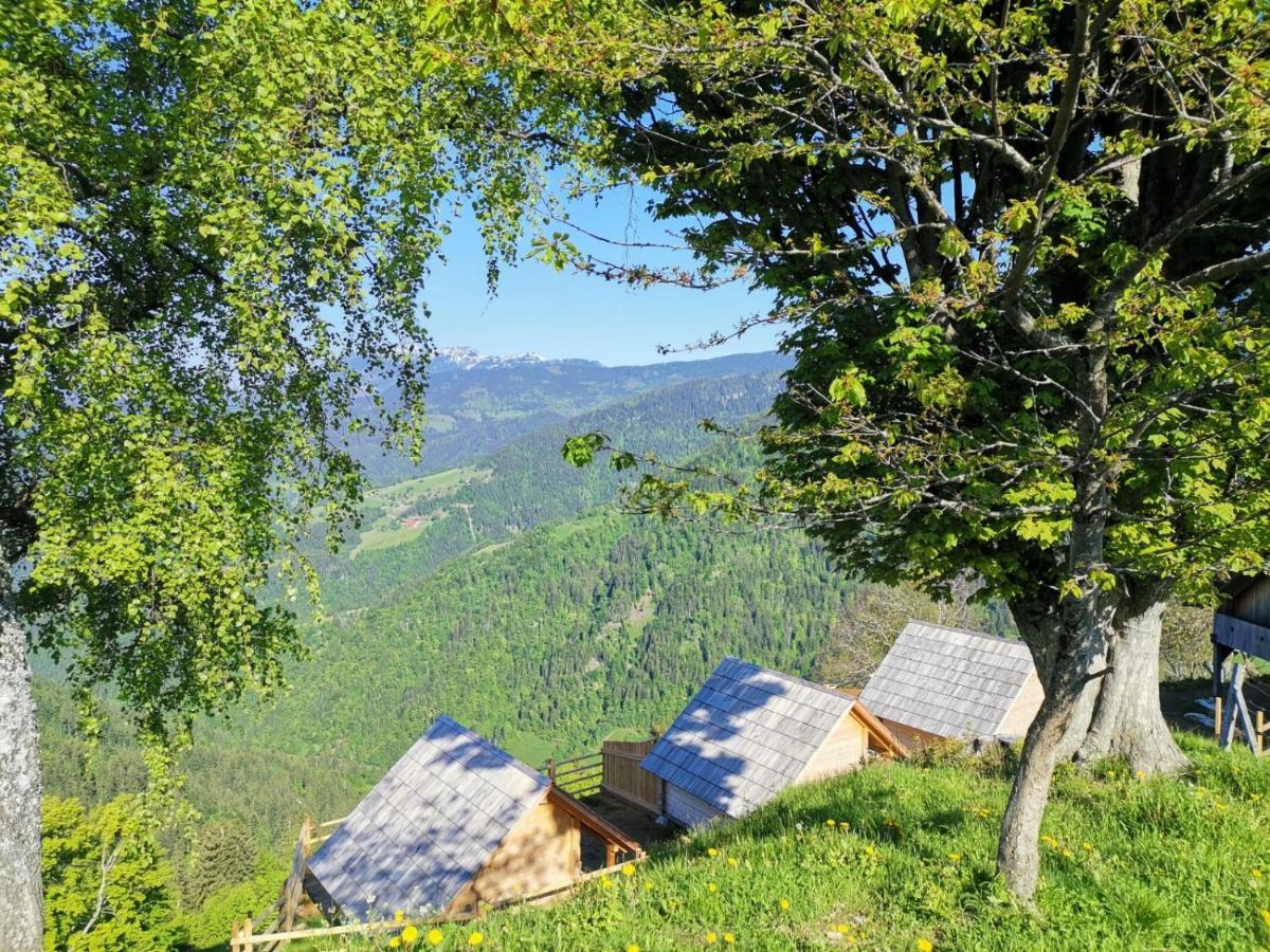 Farmstay&Glamping Visocnik Ljubno Zewnętrze zdjęcie