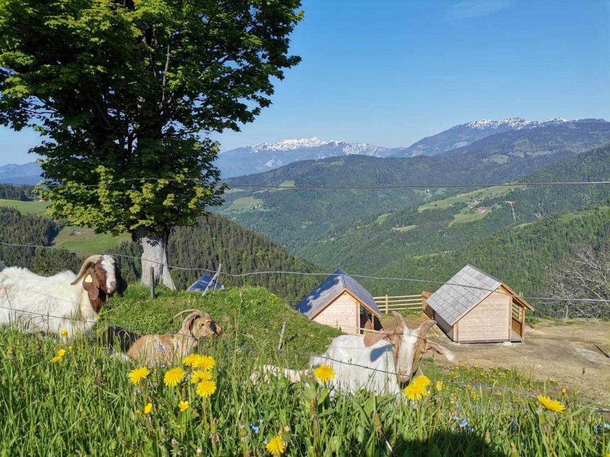 Farmstay&Glamping Visocnik Ljubno Zewnętrze zdjęcie