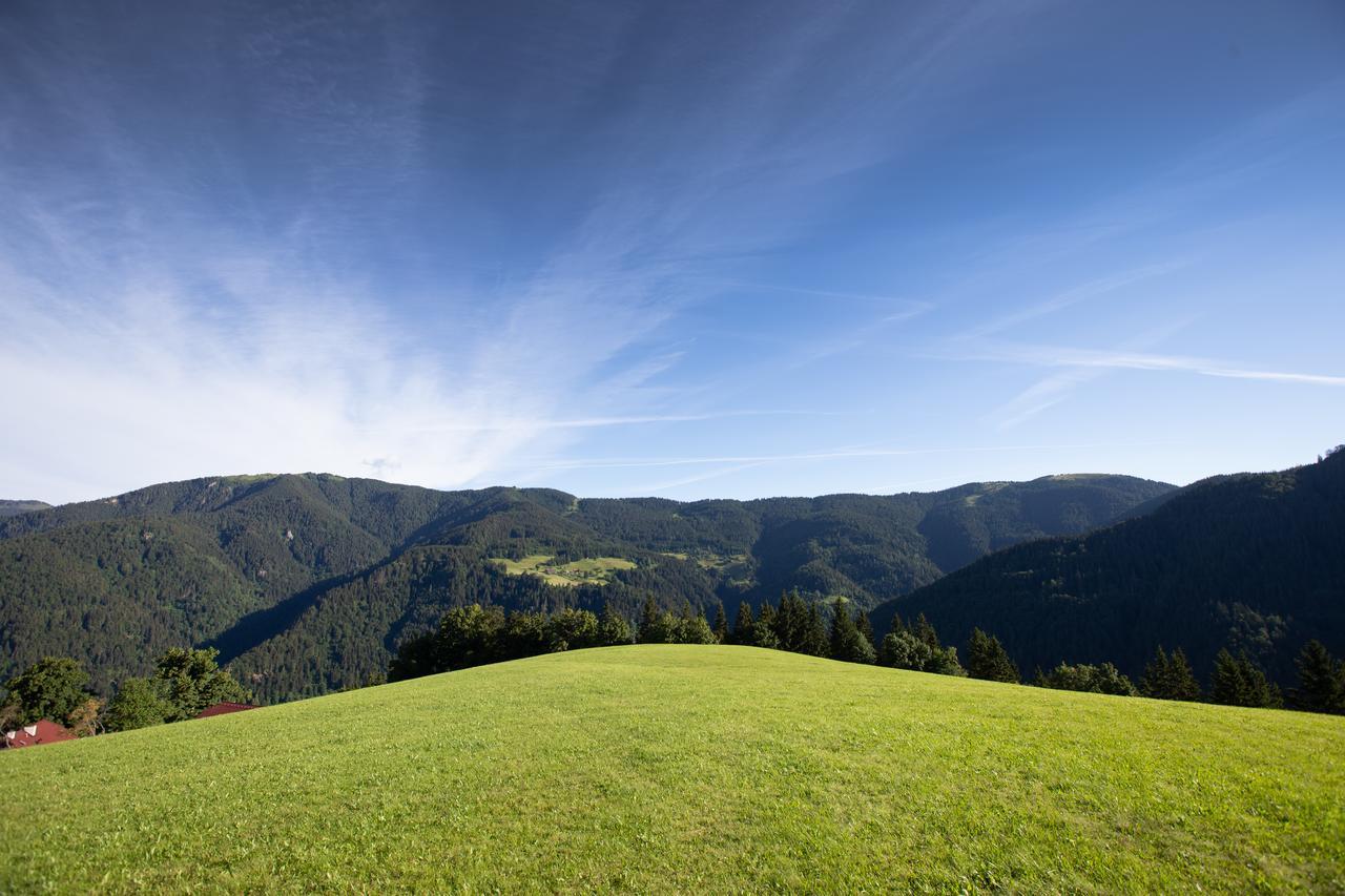 Farmstay&Glamping Visocnik Ljubno Zewnętrze zdjęcie