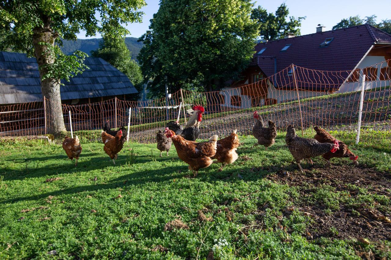 Farmstay&Glamping Visocnik Ljubno Zewnętrze zdjęcie