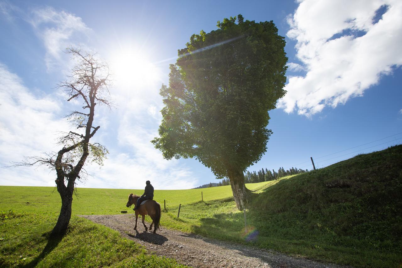 Farmstay&Glamping Visocnik Ljubno Zewnętrze zdjęcie