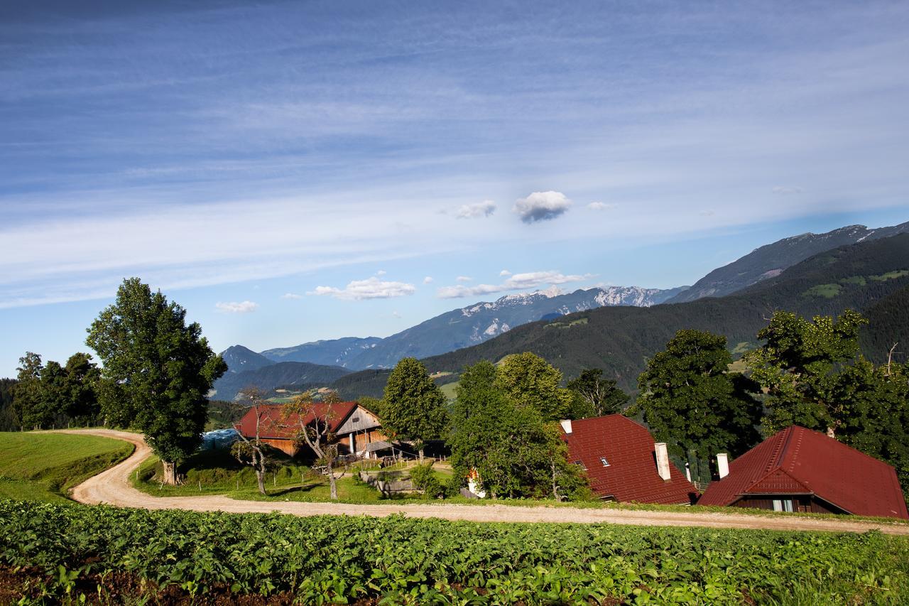 Farmstay&Glamping Visocnik Ljubno Zewnętrze zdjęcie