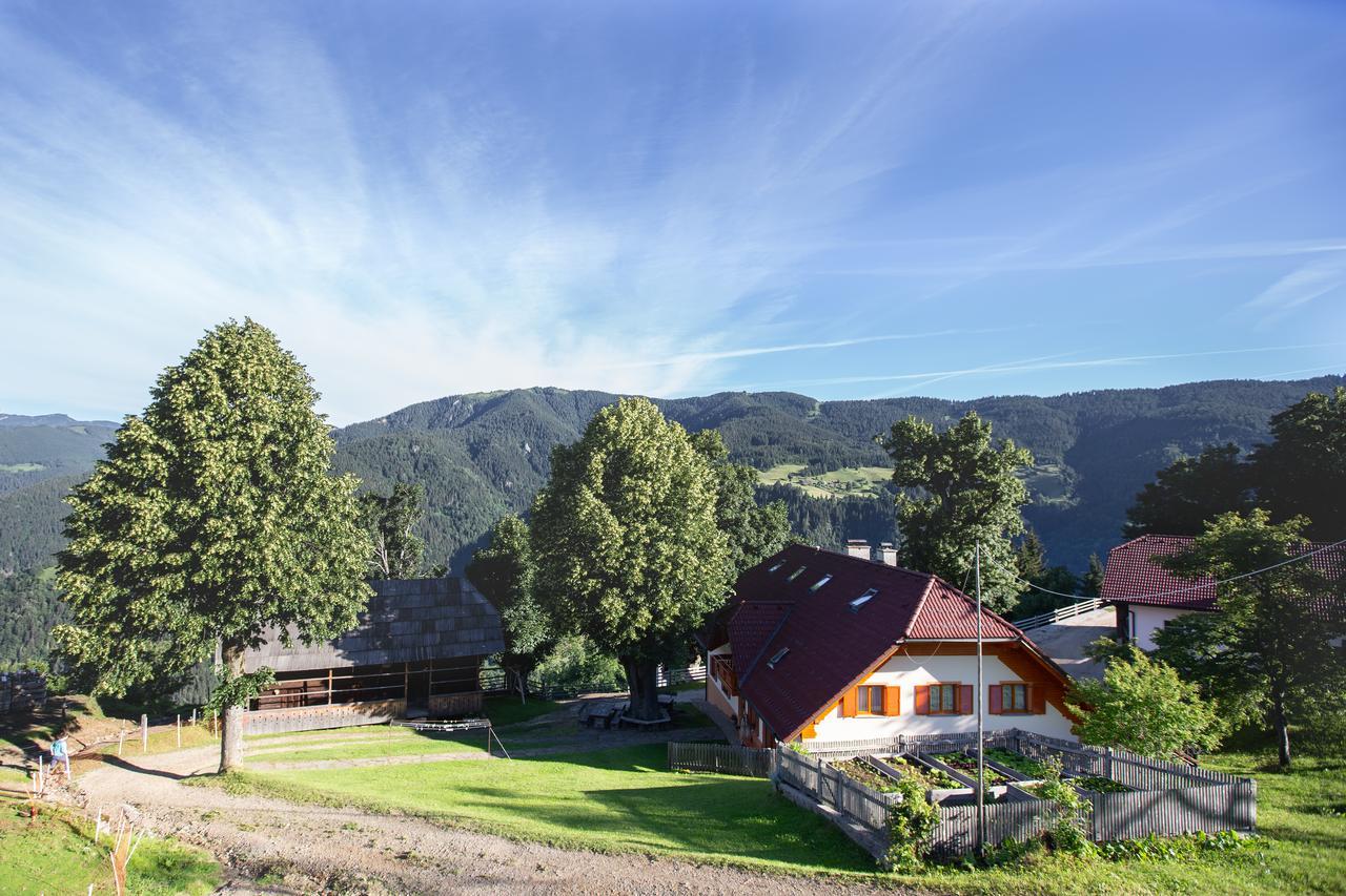 Farmstay&Glamping Visocnik Ljubno Zewnętrze zdjęcie