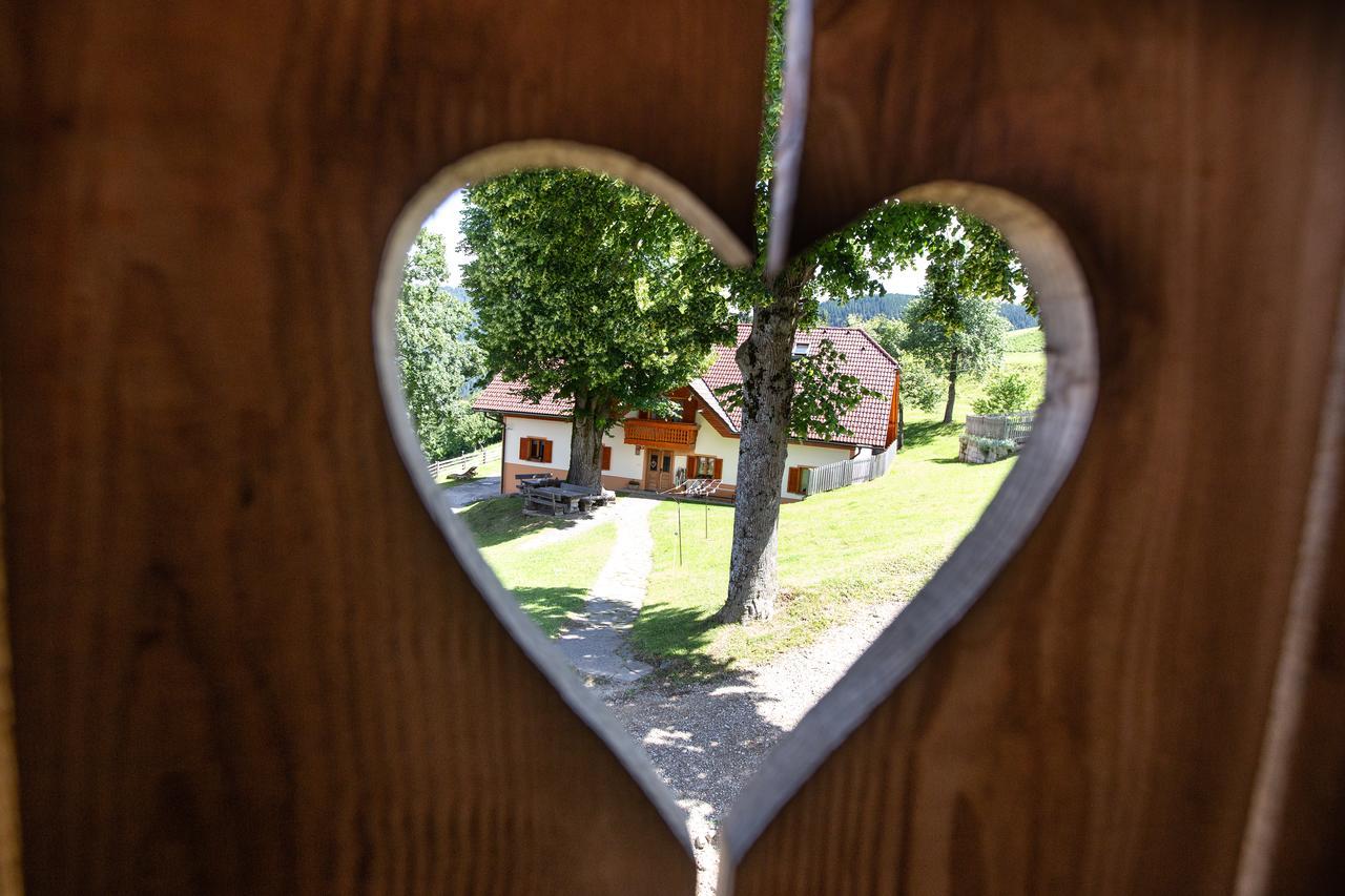 Farmstay&Glamping Visocnik Ljubno Zewnętrze zdjęcie