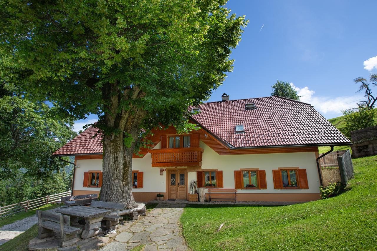 Farmstay&Glamping Visocnik Ljubno Zewnętrze zdjęcie