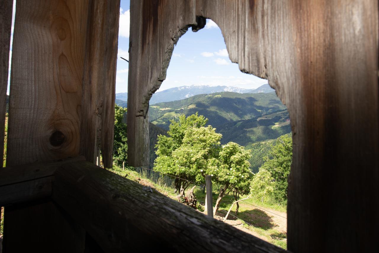 Farmstay&Glamping Visocnik Ljubno Zewnętrze zdjęcie