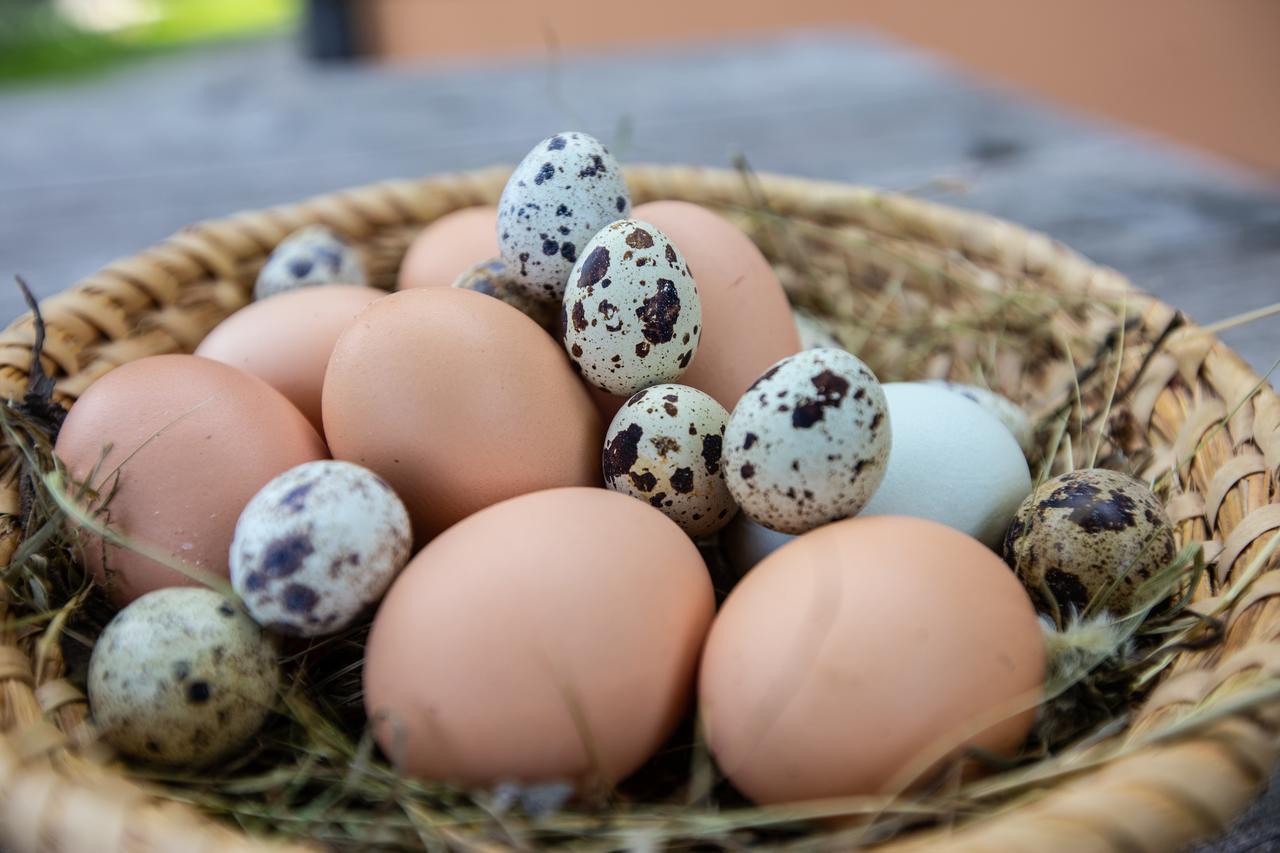 Farmstay&Glamping Visocnik Ljubno Zewnętrze zdjęcie
