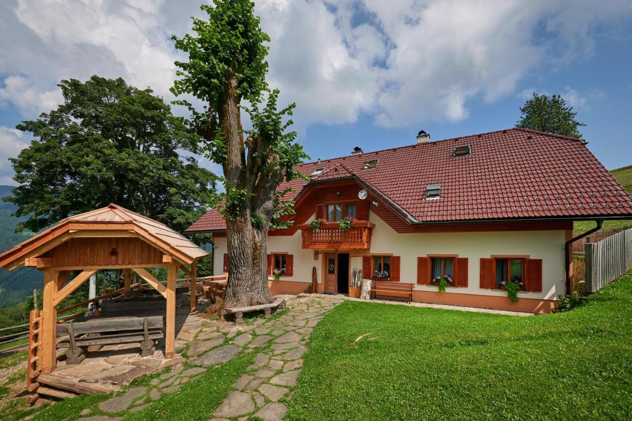 Farmstay&Glamping Visocnik Ljubno Zewnętrze zdjęcie