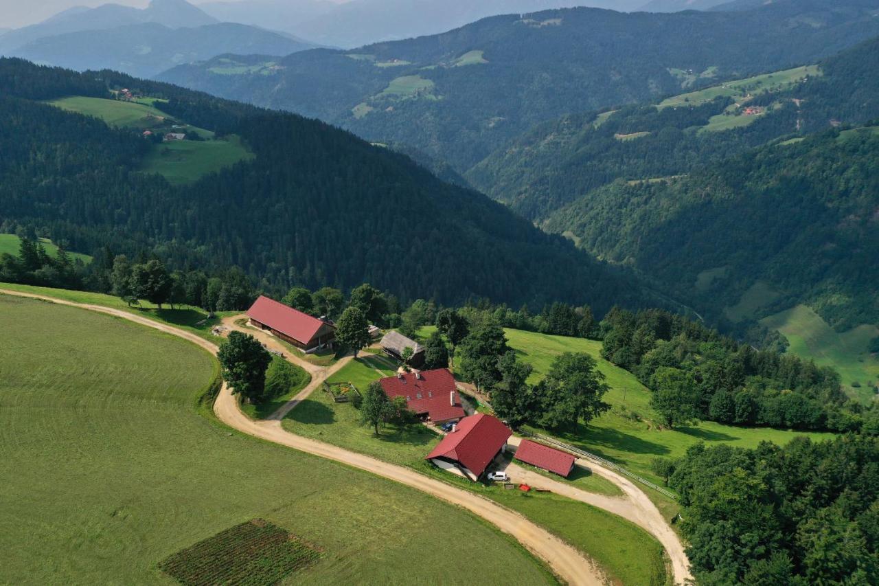 Farmstay&Glamping Visocnik Ljubno Zewnętrze zdjęcie