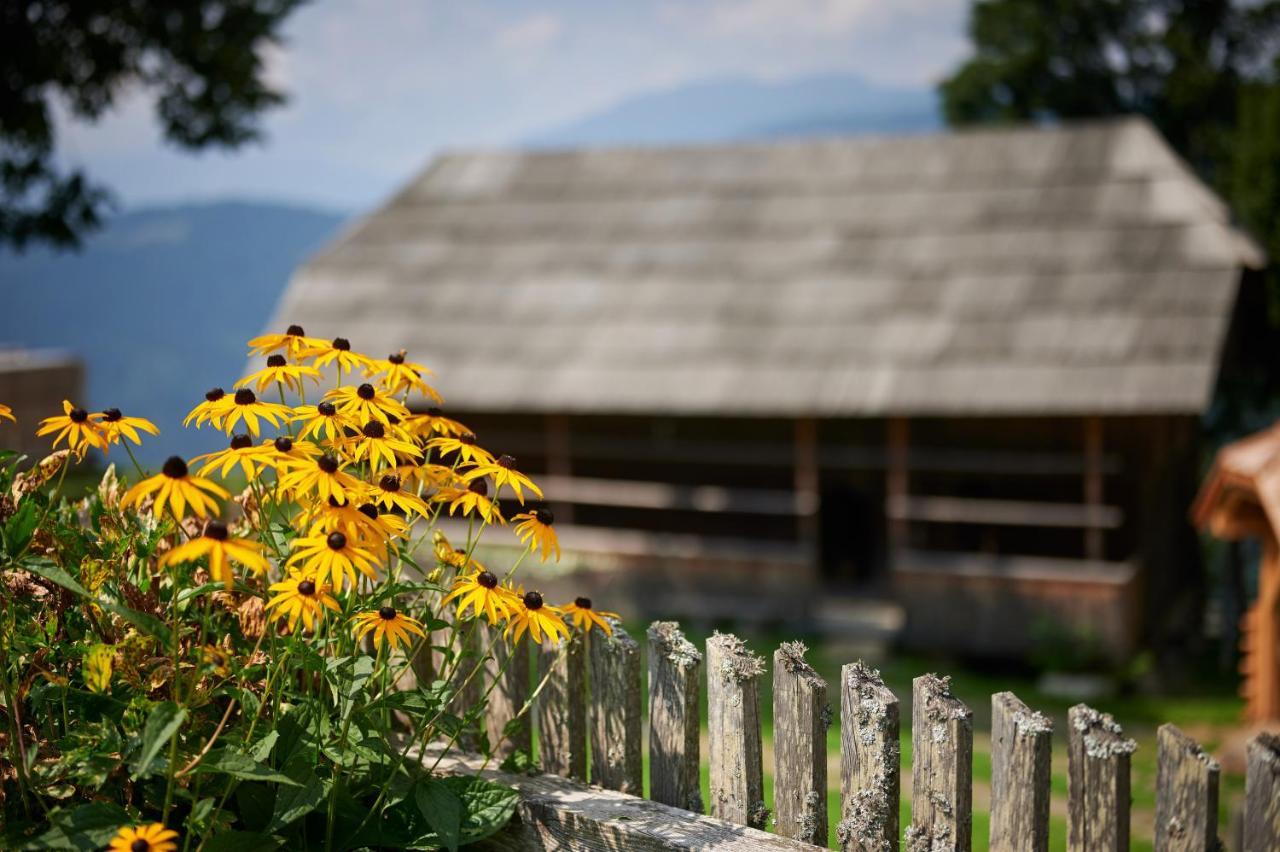 Farmstay&Glamping Visocnik Ljubno Zewnętrze zdjęcie