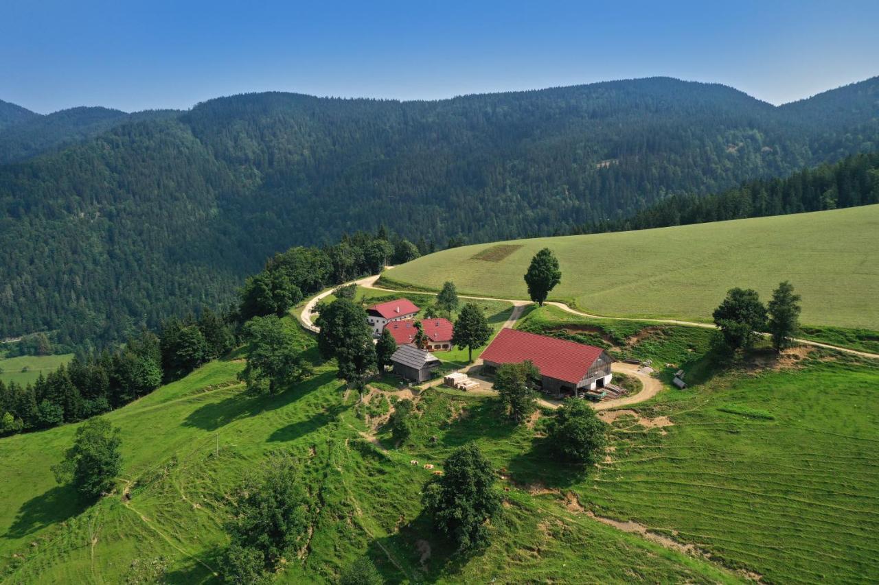 Farmstay&Glamping Visocnik Ljubno Zewnętrze zdjęcie