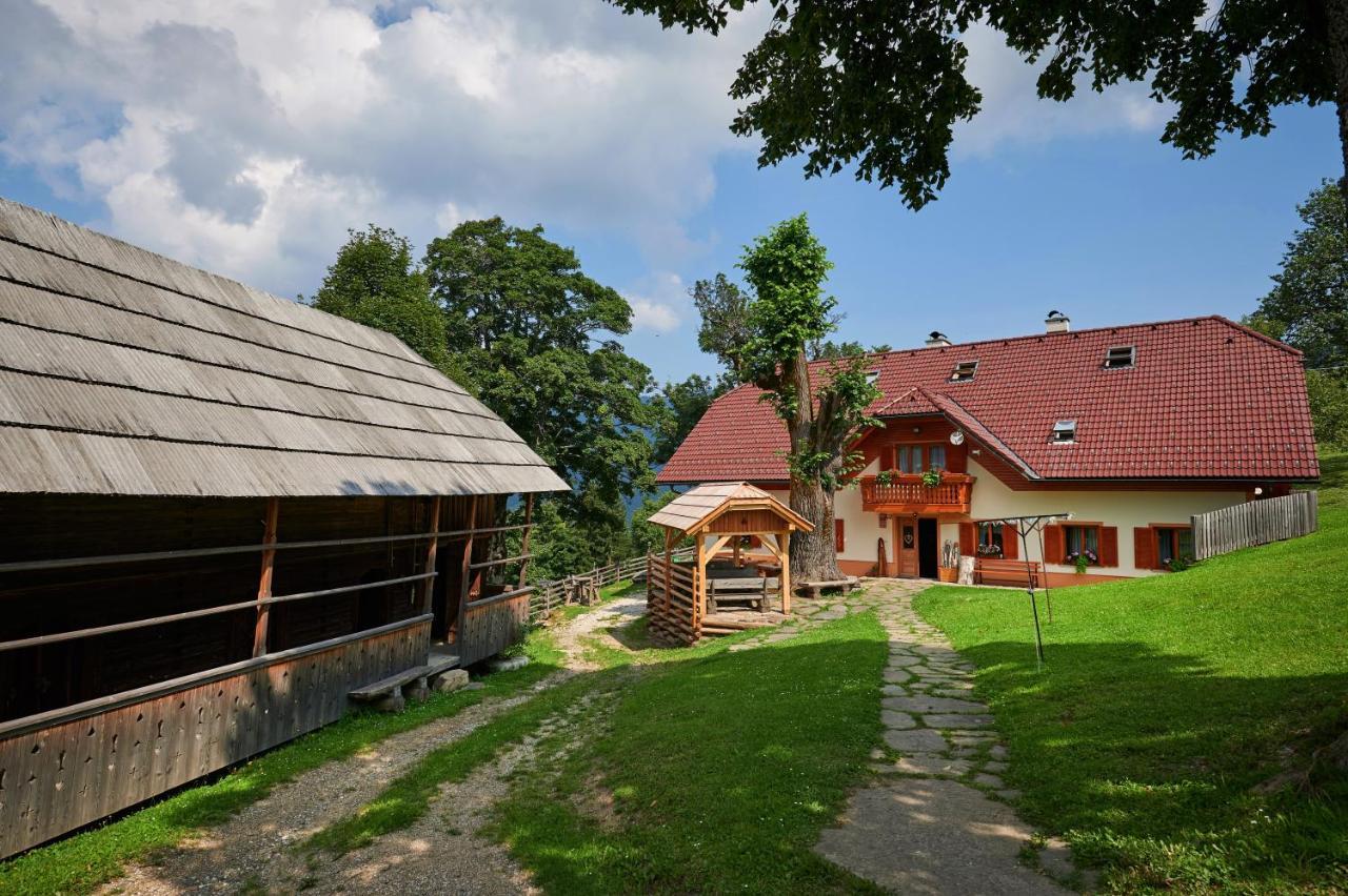 Farmstay&Glamping Visocnik Ljubno Zewnętrze zdjęcie