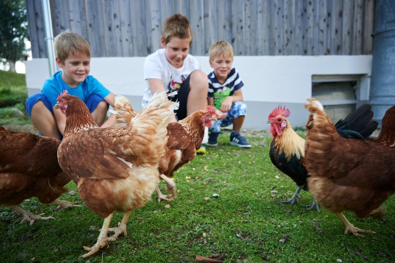 Farmstay&Glamping Visocnik Ljubno Zewnętrze zdjęcie