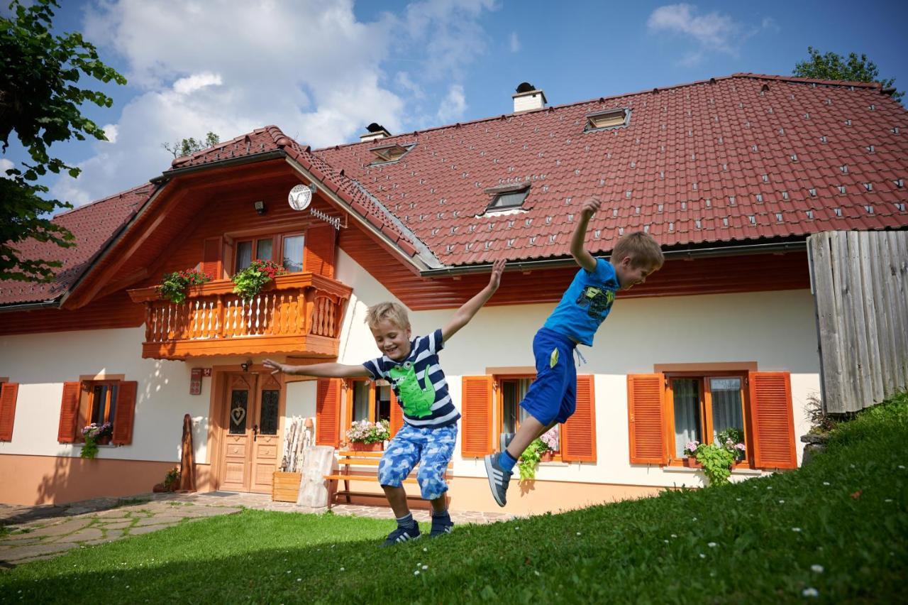 Farmstay&Glamping Visocnik Ljubno Zewnętrze zdjęcie