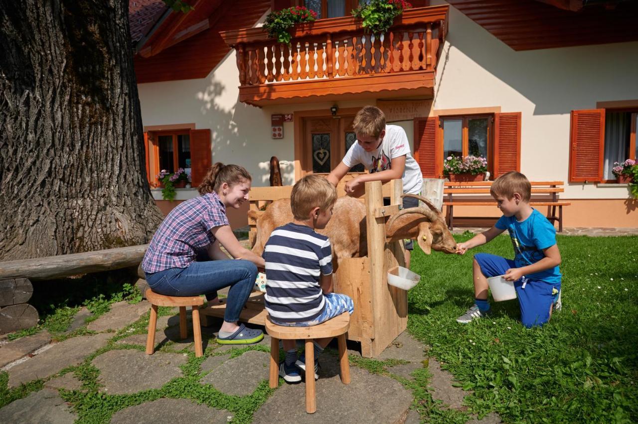 Farmstay&Glamping Visocnik Ljubno Zewnętrze zdjęcie