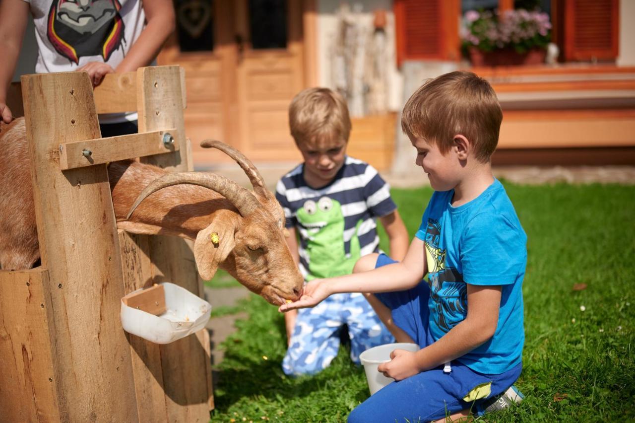 Farmstay&Glamping Visocnik Ljubno Zewnętrze zdjęcie